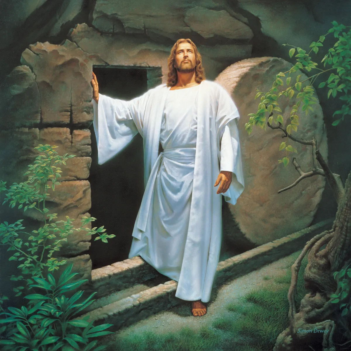 <p>What Is The Evidence of the Resurrection?</p>