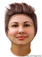 <p>un visage rond</p>