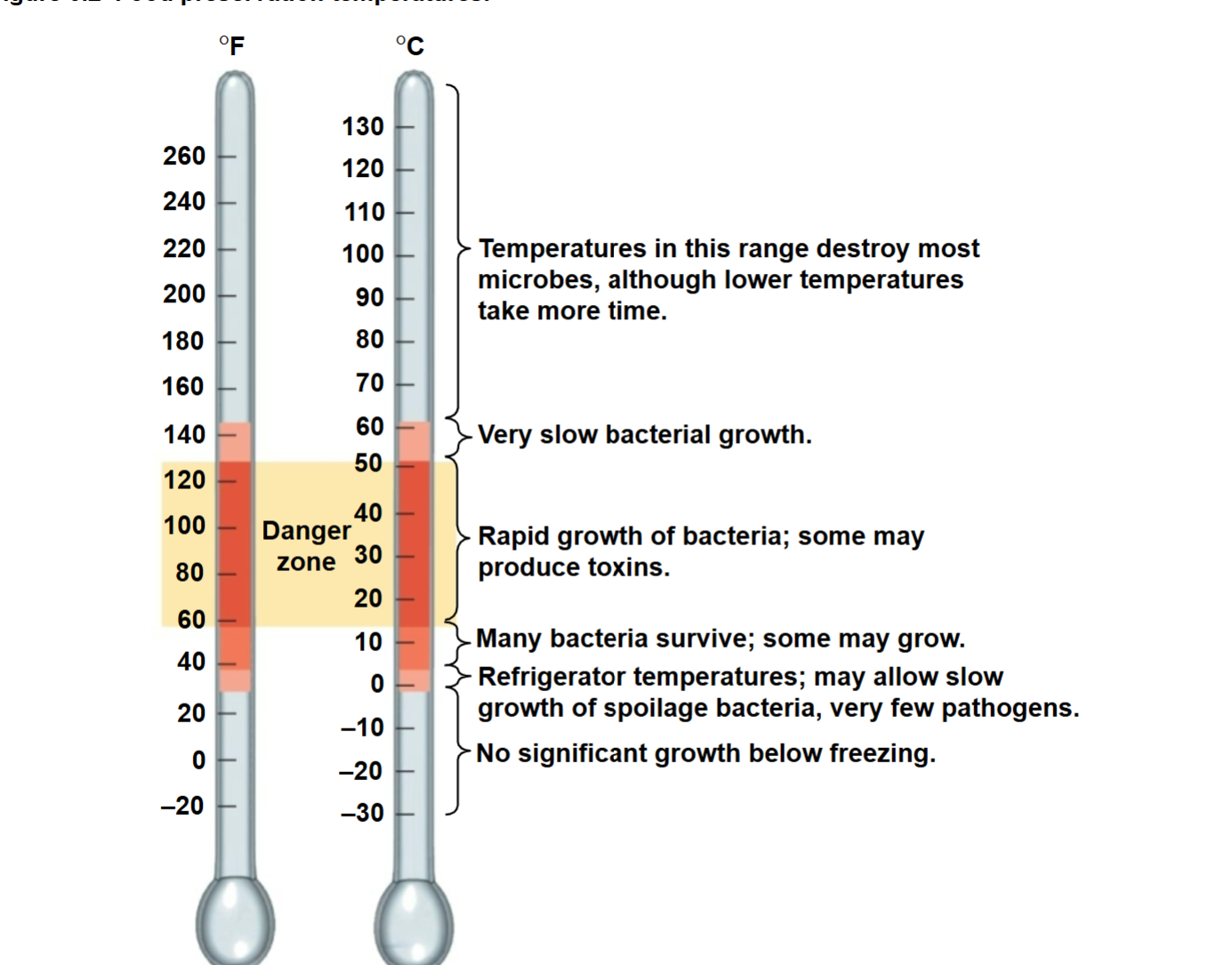 <p>15-50 C as bacteria grows rapidly and produce toxins</p><p>Above 60 C destroys most microbes but is better to go w/low temps</p><p>Below 0 C (below freezing) is best for no growth </p>