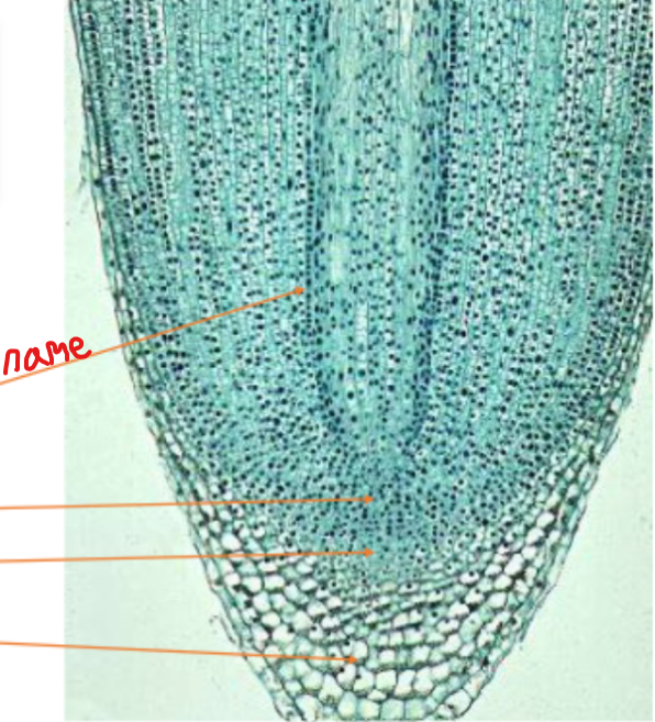 <p>What is this called?</p>