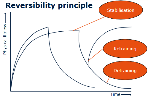 <p>The reversibility principle states that fitness improvements are lost when training stops or is significantly reduced.</p><p><strong>Detraining</strong></p><p>Detraining refers to the partial or complete loss of training adaptations due to inactivity.</p><p>Effects of detraining may include:</p><ul><li><p>Reduced cardiovascular fitness</p></li><li><p>Loss of strength and muscle mass</p></li><li><p>Decreased flexibility and coordination</p></li><li><p>Reduced sport-specific skills</p></li></ul><p>The rate of fitness loss depends on:</p><ul><li><p>The athlete’s training history</p></li><li><p>The duration of inactivity</p></li><li><p>The fitness component involved</p></li></ul><p>Generally:</p><ul><li><p>Aerobic fitness declines relatively quickly.</p></li><li><p>Strength and skill decline more gradually.</p></li></ul><p></p>