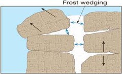 <p>Weathering involving repeated cycles of freezing and thawing.</p>