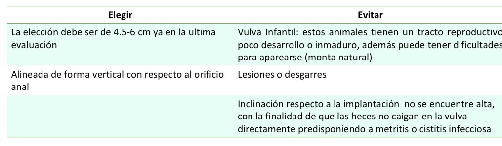 <p><span><span>Las diferentes casas genéticas y algunas referencias mencionan que la vulva de la cerda primeriza debe estar bien implantada y firme para ser seleccionada.</span></span></p>