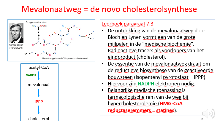 <p>statines</p><p><span>Met die statines kunnen we ervoor zorgen dat cholesterol aanmaak in de lever geremd is en dat dus de cholesterol die in ons bloed circuleert en die kan gaan neerslaan in de bloedvatwanden daalt en dat door die daling van circulerend cholesterol in het bloed mensen minder snel zullen sterven van cardiovasculaire ziekten zoals hartinfarcten en beroertes.</span></p><p></p><p><span>Statines hebben dus een ongelooflijk belangrijke impact op het voorkomen van cardiovasculaire ziekten in onze bevolking omdat ze de de novo synthese van cholesterol in de lever in de mevalonaatweg zullen remmen.</span></p>