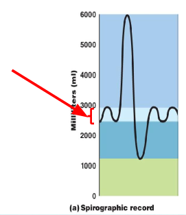 <ul><li><p>Volume of air moved during inspiration or expiration </p><ul><li><p>Rest: ~ 500 ml</p></li></ul></li></ul><p></p>