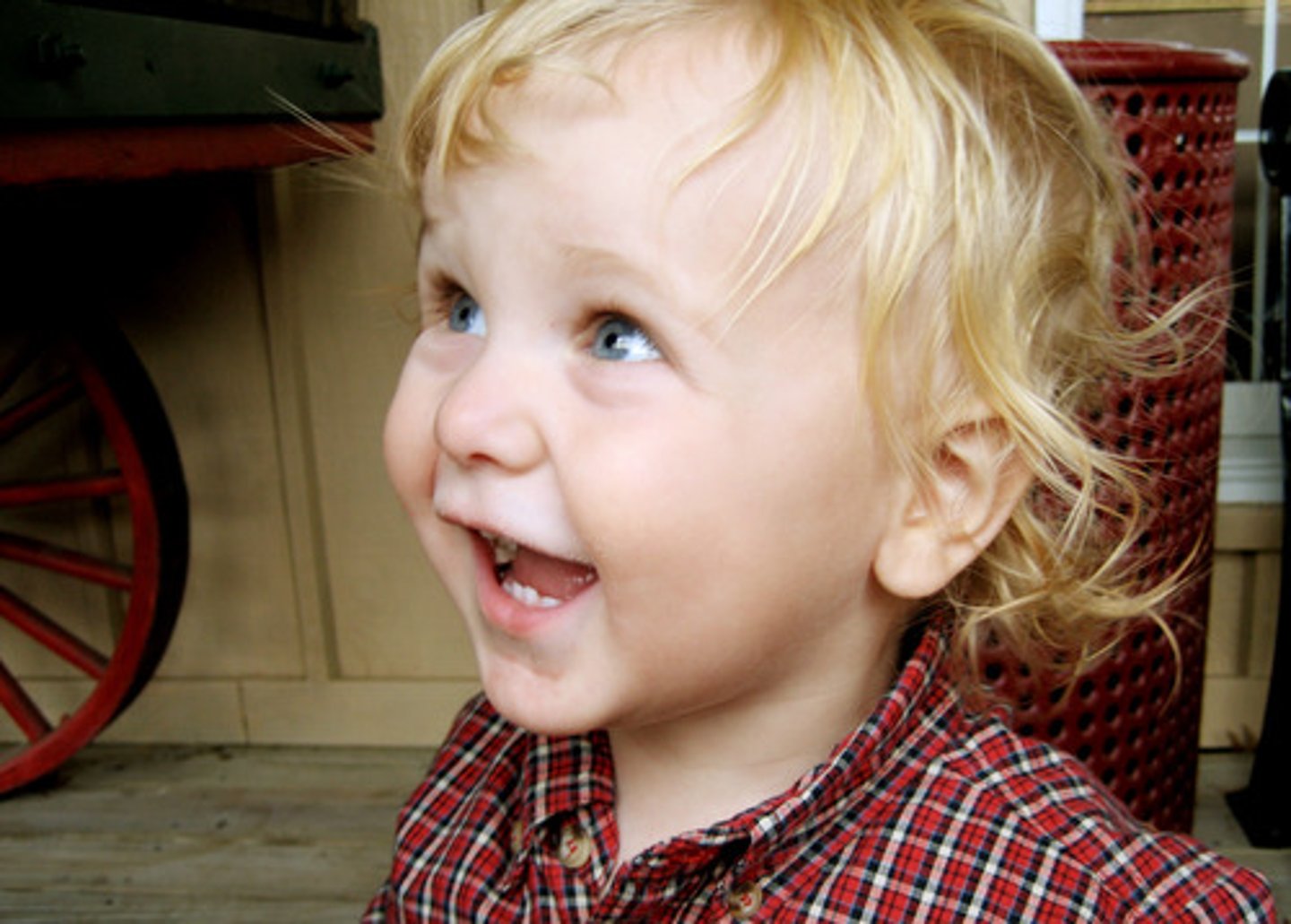 <p>I am happy</p>