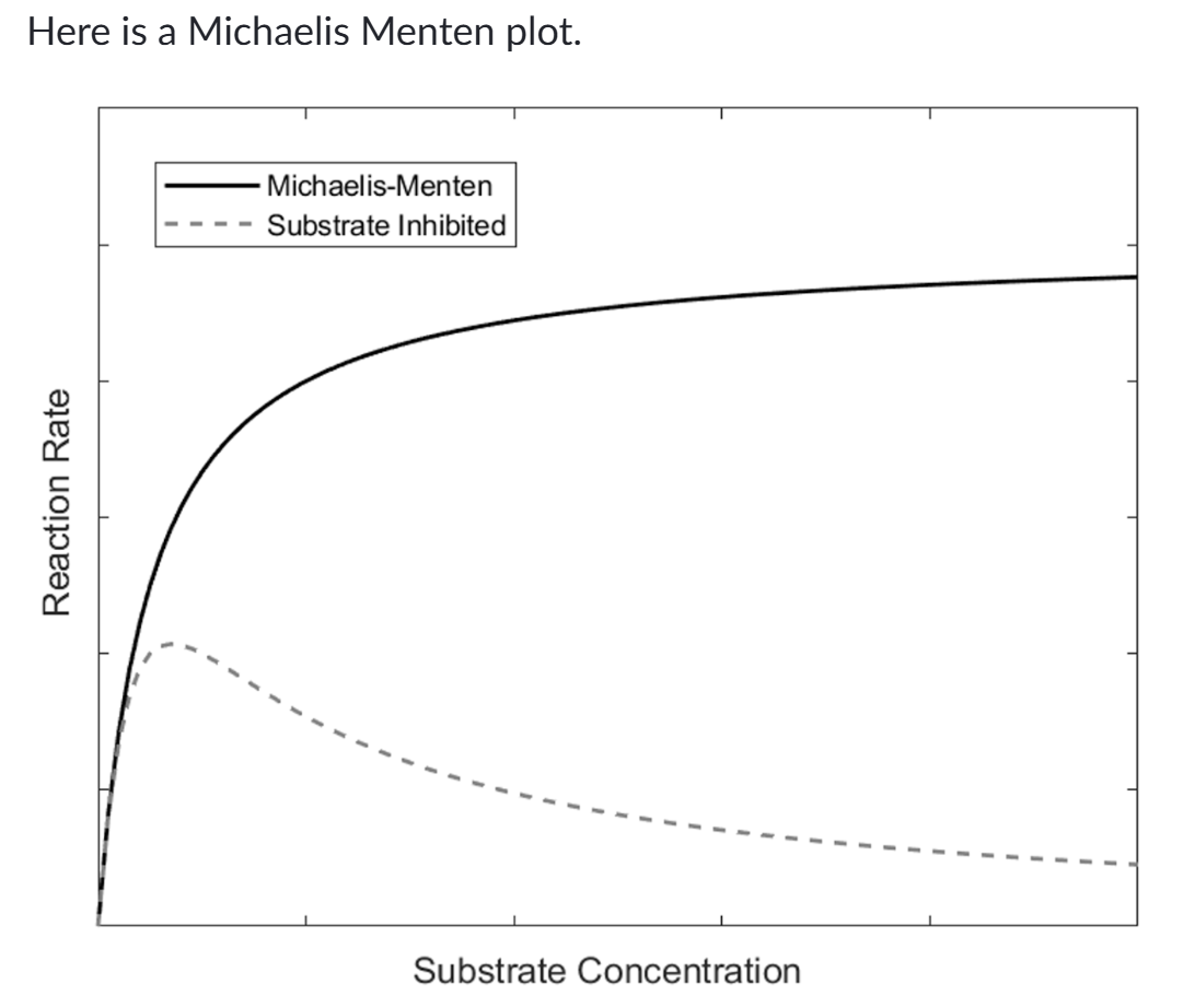 <p>Notice that the plot is nearly linear at low substrate concentrations, becomes more curved around Km and flattens near Vmax.</p><p>This is because MM kinetics exhibit <strong>first order kinetics at low substrate concentrations</strong>, where the rate or velocity of the reaction is proportional to the substrate concentration. At high substrate concentration, MM kinetics transition to zero order kinetics, where the rate is approximately constant and approximately equals Vmax.</p>