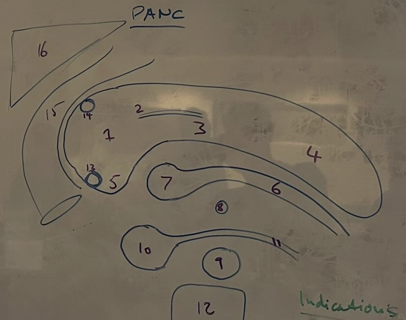 <p>Label Pancreas</p>