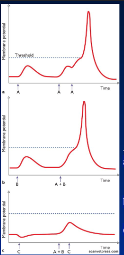 <p>Explain these 3 graphs</p>