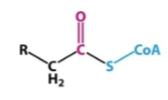 <p>What is this intermediate </p>