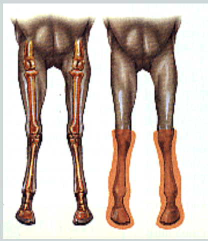 <p>what is this an image of</p>