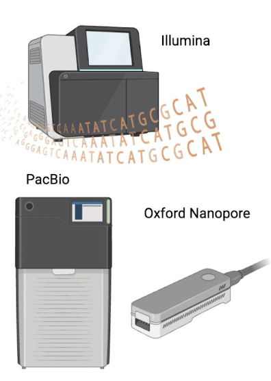 <p><strong>Next Generation Sequencing (NGS)</strong> is a high-throughput method that allows for the direct rapid sequencing of large amounts of DNA (PCR products) <span style="color: green;"><strong>by simultaneously analysing millions of fragments, enabling comprehensive profiling of microbial communities → reveals rare biospheres</strong></span></p><p>Done by devices like Illumina sequencers, Pacbio, Nanopore (4th gen)</p>