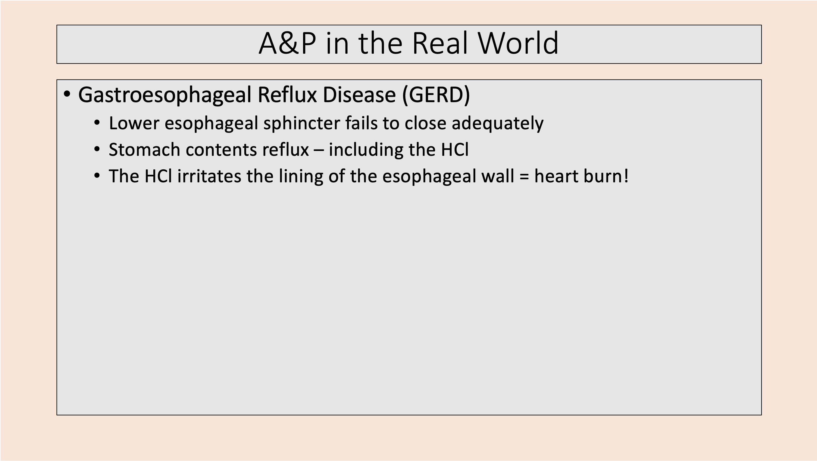<p><span>Gastroesophageal Reflux Disease (GERD)</span></p>