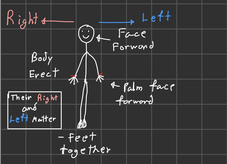 <ul><li><p>Body erect</p></li><li><p>Face Forward</p></li><li><p>Palm face forward</p></li><li><p>Feet Togeteher<br><br>(Thier left anf right matter)</p></li></ul><p></p>