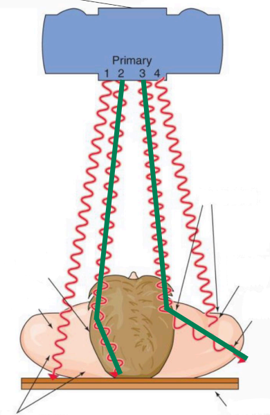 <p>2 and 3</p>
