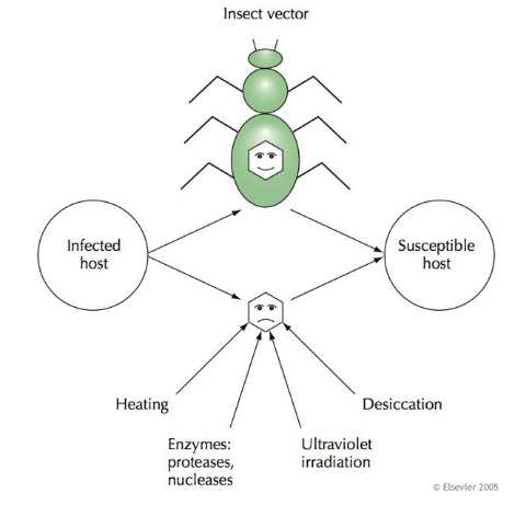 <p>protection from the environment</p>