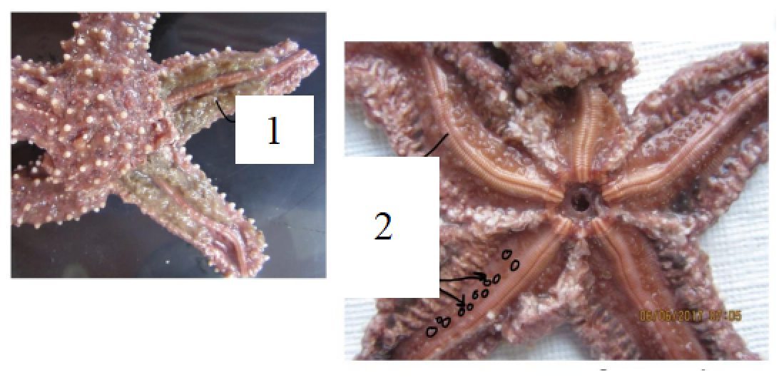 <p>Name structures 1 and 2.</p>