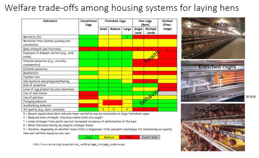 <p><strong>Conventional Cages</strong><br>āLimited <strong>space</strong> and <strong>movement</strong><br>āMinimal opportunity for <strong>natural behaviours</strong> like <strong>foraging, dustbathing, and perching</strong></p><p><strong>Enriched Cages</strong><br>āProvide more <strong>space</strong> and amenities: <strong>perch, nest box, scratching area</strong><br>āAllow some <strong>natural behaviours</strong> but still <strong>restricted compared to non-cage systems</strong></p><p><strong>Non-Cage Systems</strong><br>āGreater <strong>freedom of movement</strong> and access to <strong>perches, litter, and scratching areas</strong><br>āSupport a wider range of <strong>natural behaviours</strong><br>āRequire careful management to reduce <strong>injuries, disease, and feather pecking</strong></p>
