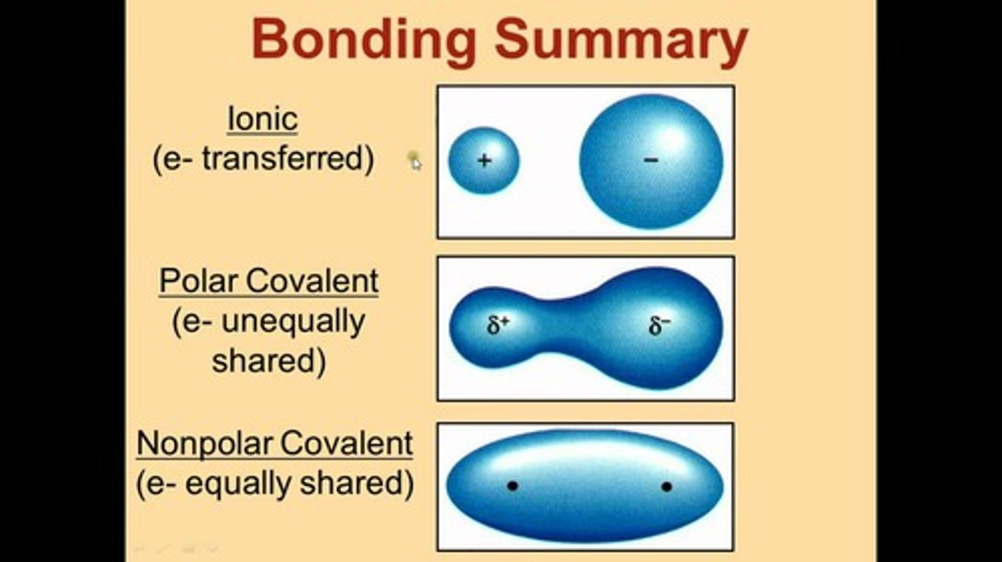 <p>Even sharing of electrons between elements in a covalent bond</p>