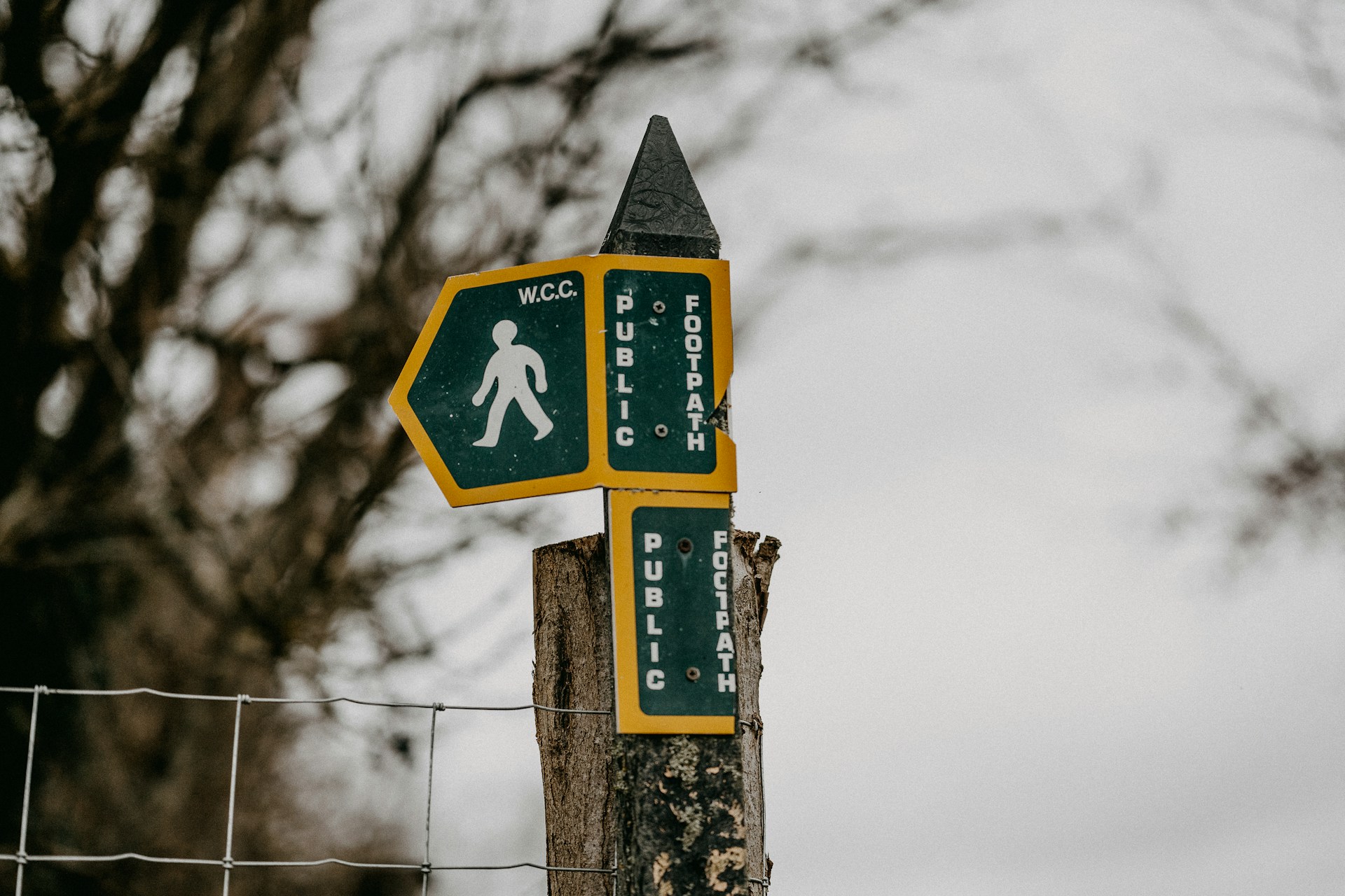<p><strong>Shortcut </strong><em>(noun)</em></p>