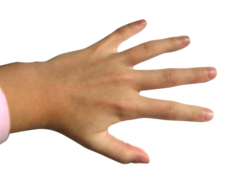<p>hand</p>