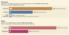 <p>62%.</p>