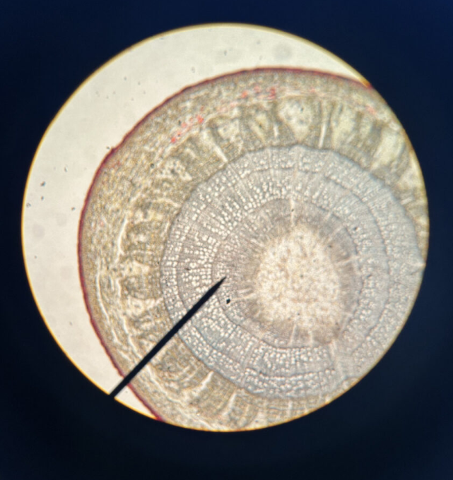 <p>How old is this? </p>