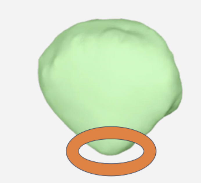 term image