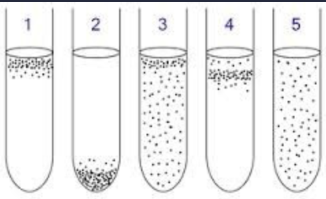 <p><span>In Figure 6.3, which tube shows the expected growth pattern for a microaerophile?</span></p>