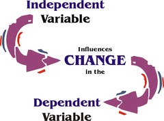<p>A factor that can change</p>