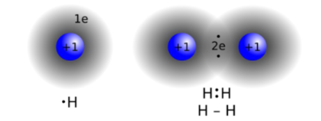 <p>A ______________ bond is two nuclei attracted to the same shared pair of electrons. </p><p></p>