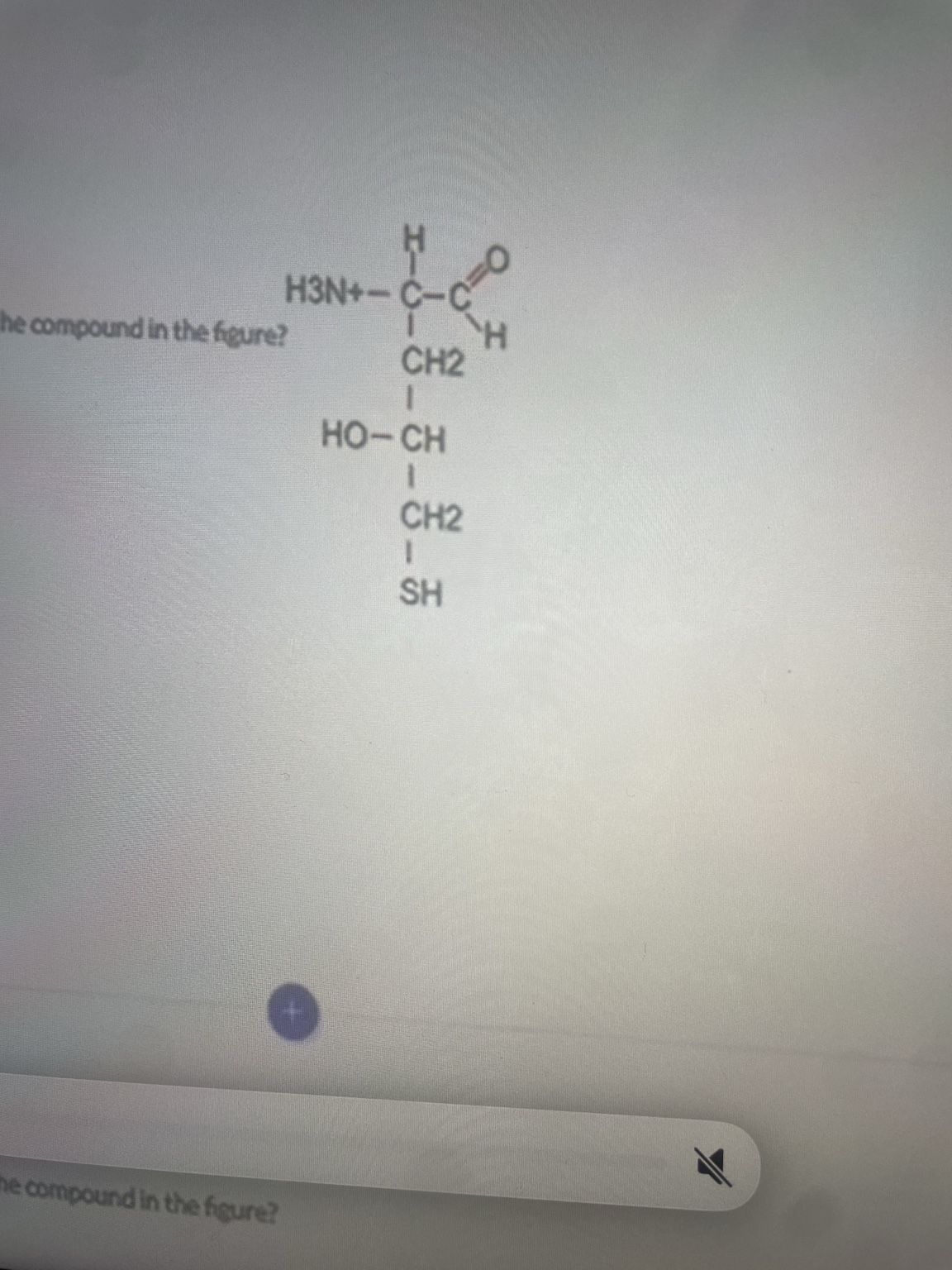 <p>Which of the following chemical groups is NOT present in the compound in the figure?</p>