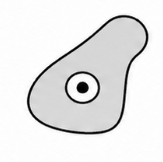 <p>SCIENTIFIC NAME</p>