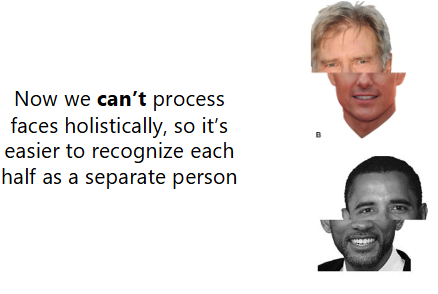 <p>-<strong>OFA</strong>, use a task where people detect or identify <strong>individual face parts</strong>, like matching eyes, noses, or mouths, without needing to recognize the whole person.</p><p>-FFA, use a task requiring identity recognition or spacing/configuration judgments, such as recognizing the same person across images, using upright versus inverted faces</p><p>-<strong>fSTS</strong>, use a task involving <strong>gaze direction</strong>, such as deciding whether someone is looking left/right or watching dynamic facial movements.</p>