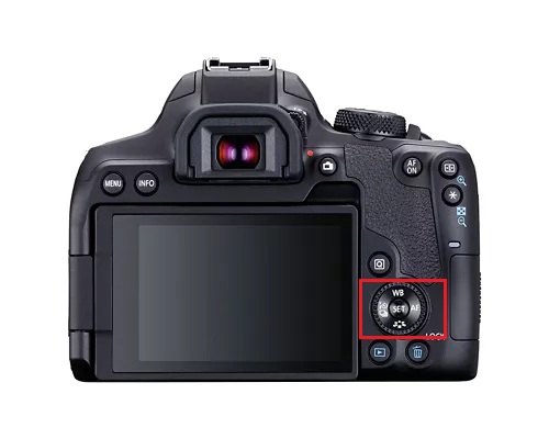 term image