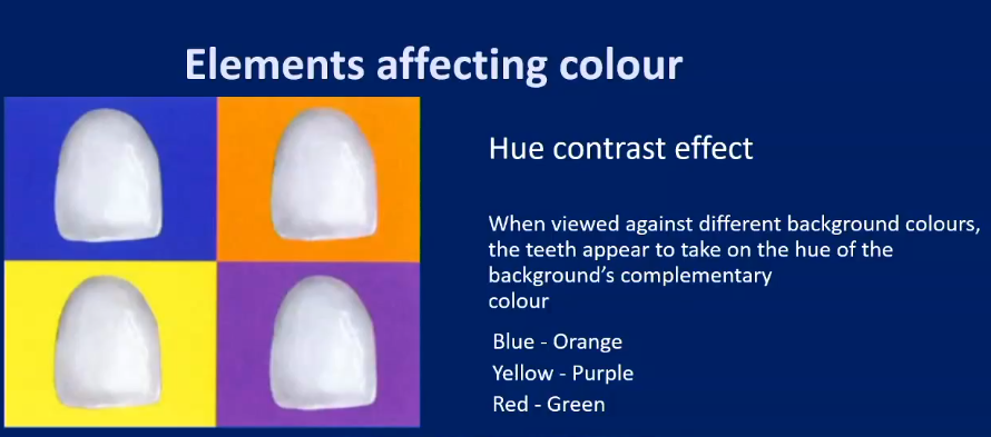 <ul><li><p>When viewed against different background colours, the teeth appear to take on the hue of the background’s complementary colour</p></li></ul><p></p>