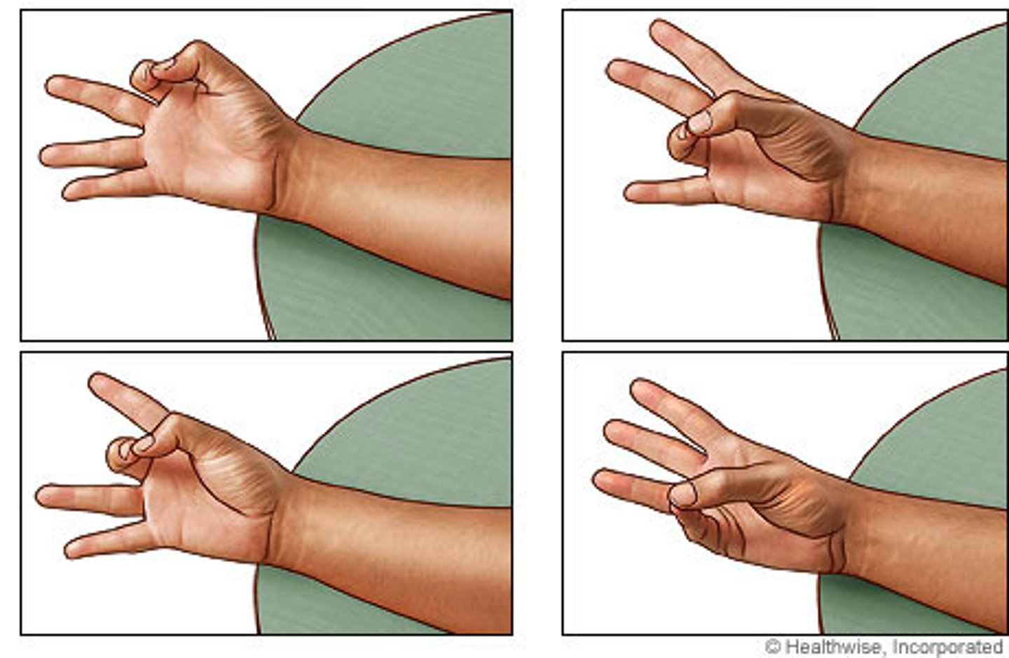 <p>thumb movement toward fingers or palm (grasping)</p>