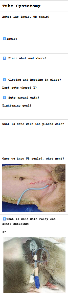 <p>.</p>