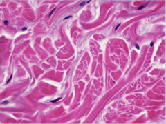 <p>Identify</p>