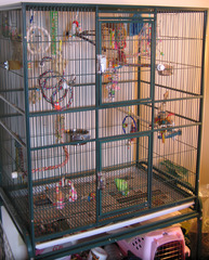 <p>(n) Chuồng</p>