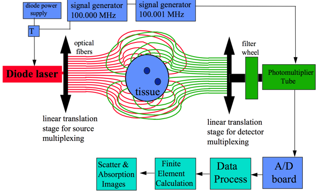<ul><li><p>Optical fibres arranged in ring shaped frame.</p></li><li><p>Some fibres transmit light &amp; others receive.</p></li><li><p>3D images reconstructed from linear translation of imaging frame.</p></li></ul><p></p>