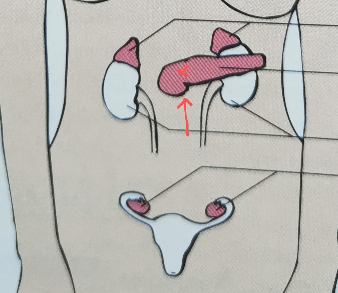 <p></p><p class="has-focus is-empty is-editor-empty"></p>