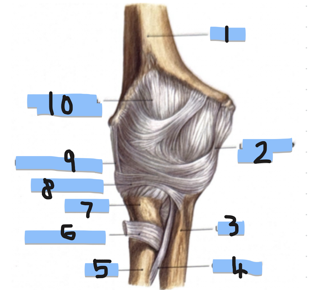 <p>5</p>