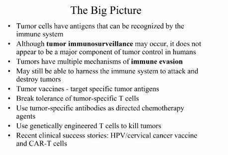 <p>Tumor Immunity</p>