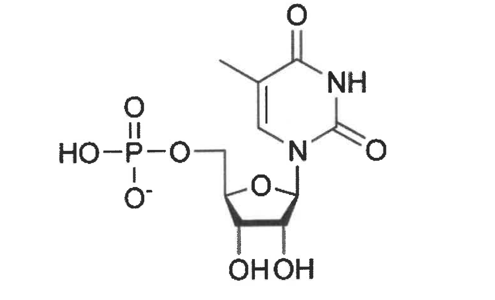 <p>The nitrogenous base that is shown represents which class of base?</p>