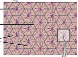 <p>What is this?</p>