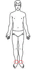 <p>ankle</p>