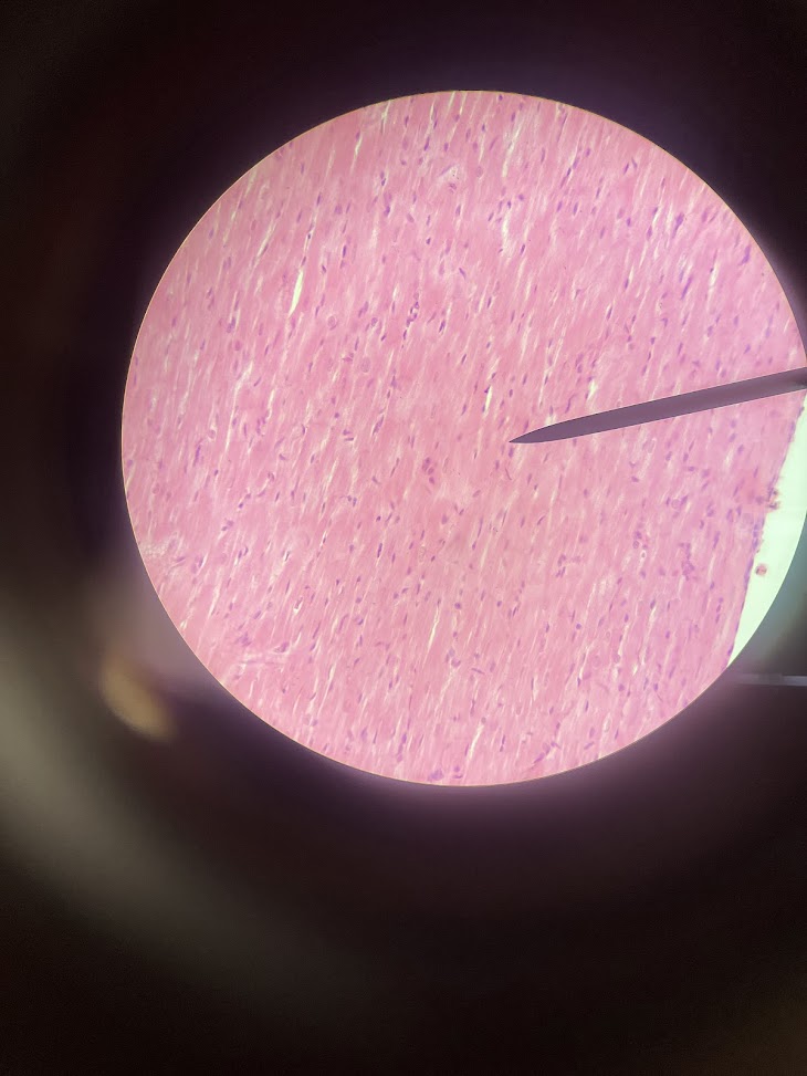 <p>structure name + layer name</p>