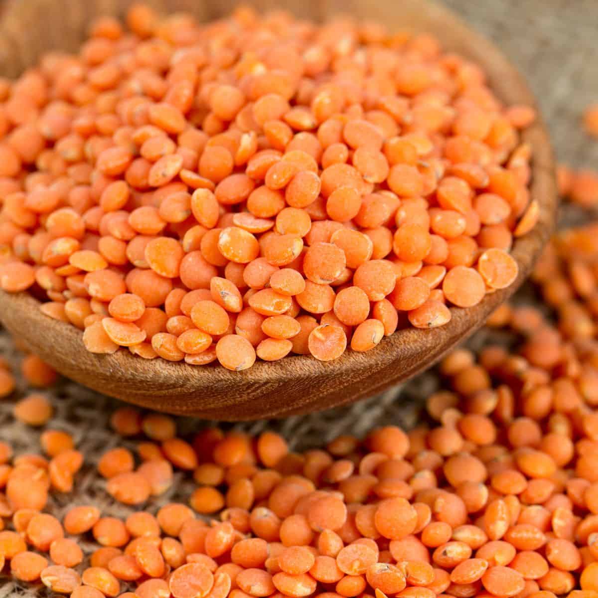 <p>Lentils</p>