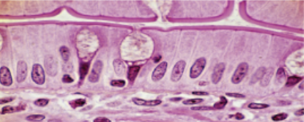 <p>Slide 3</p>